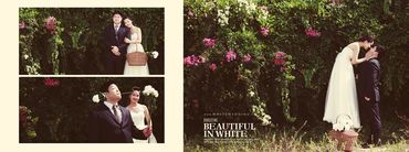 Ảnh cưới Hồ Cốc - WHITE WEDDING Decor - Hình 15