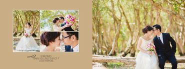 Ảnh cưới Hồ Cốc - WHITE WEDDING Decor - Hình 5
