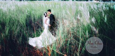 áo cưới đẹp đà nẵng Hàn Quốc Wedding - Hàn Quốc Wedding - Hình 3