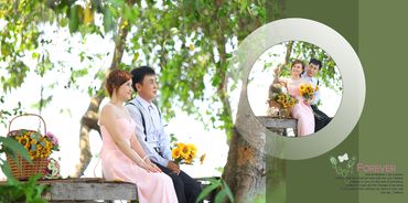 Album Ecolak - Mỹ Hảo - Ngã 6  - Blue Wedding - Hình 4