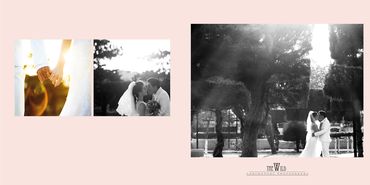 Album Lãng Mạn Tại Nha Trang - The Wild Studio - Hình 19