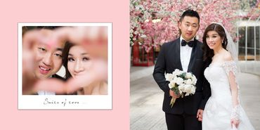 Ảnh cưới chụp ở The Vow 3 - Stephen Lee Makeup Studio - Hình 7