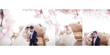 Album ngoại cảnh đẹp - Adsa Photography - Hình 16