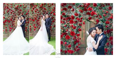 Ảnh cưới đẹp phim trường Sài Gòn - Lalalita Wedding House - Hình 4