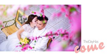 Ngày Chung Đôi - Đăng Minh Wedding - Hình 16
