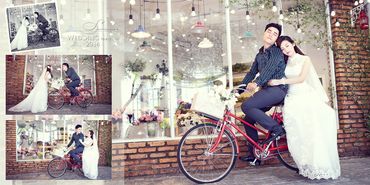 Album ảnh cưới phim trường the Vow - Công ty TNHH Một Thành Viên Dịch Vụ Áo Cưới Sơn - Hình 13