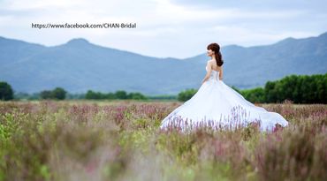 album hồ cốc - CHAN Bridal - Hình 86