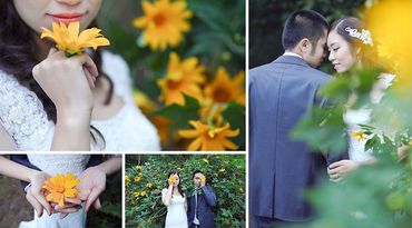 Ba Vì mùa sương - Le Soleil wedding studio - Hình 22