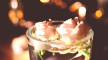 [Pink &amp; Mint | Real wedding] We learn to love - 26.12.2015 - Pink and Mint - Hình 11