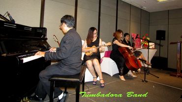 HÒA TẤU NHẠC BÁN CỔ ĐIỂN VÀ FLAMENCO CHO ĐÁM CƯỚI - Ban nhạc Flamenco Tumbadora - Hình 2