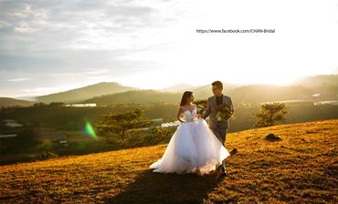 Chụp album Đà Lạt - CHAN Bridal - Hình 2