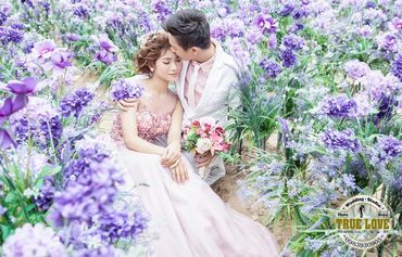 Chụp ảnh cưới Cosplay - SFpre Wedding tour - Hình 14