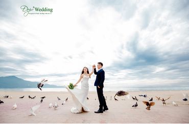 Gói chụp ngoại cảnh Đà Nẵng cả ngày - Đẹp+ Wedding Studio 98 Nguyễn Chí Thanh - Hình 2