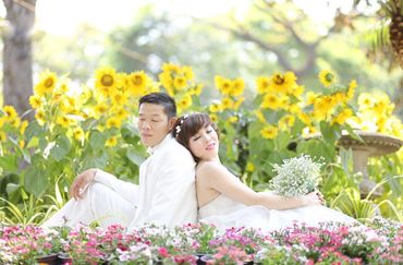 Ta cần có nhau - Trần Nguyễn Wedding Studio - Hình 9