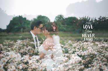 CHỤP ẢNH CƯỚI TẠI VƯỜN CÚC HỌA MI HÀ NỘI: NAM - LOAN - Yêu Media - Hình 1