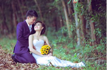Album ảnh cưới Hồ Cốc - Ami Wedding - Hình 11