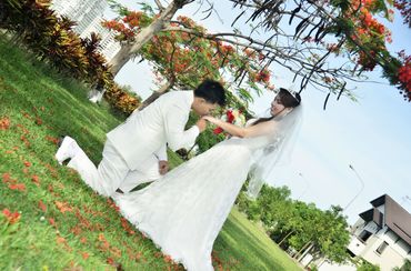 Hạ yêu - Đám Cưới Phong Cách - Wedding Planner - Hình 1