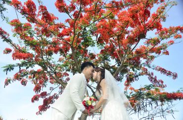 Hạ yêu - Đám Cưới Phong Cách - Wedding Planner - Hình 6