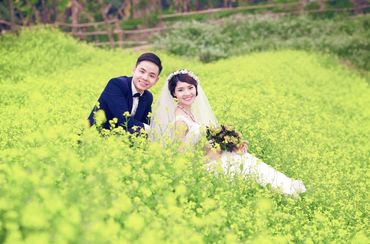 Ảnh cưới đẹp - Chụp Ảnh Cưới Bắc Ninh - Áo Cưới Nguyễn Ước - Hình 26