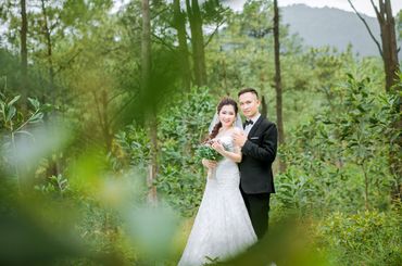 Chụp ảnh cưới Hồ Yên Trung – Tuần Châu - Lợi &amp; Thanh - Ảnh viện Hải Phòng Cưới - Hình 2