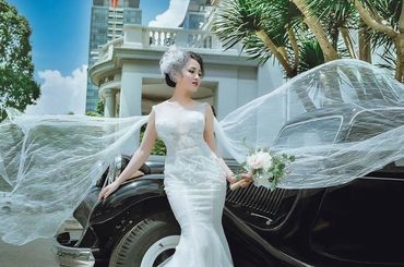 CAMA Luxury Bridal - CAMA Luxury Bridal - Hình 144