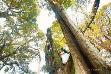 Ngày nắng ấm - Hà Giang Wedding Studio - Hình 4