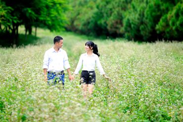 Ảnh cưới đẹp Đà Lạt - Hào Trịnh Studio - Hình 5