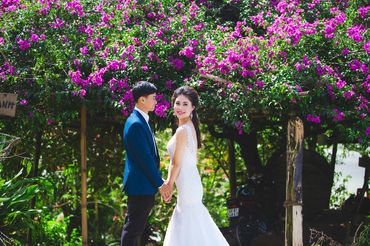 Ảnh cưới đẹp Đà Lạt - Hoàng Dũng Studio - Hình 8