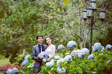 Album cưới Đà Lạt - Helen Nguyễn Studio - Hình 16