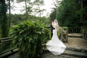 Ảnh cưới đẹp Đà Lạt - Ồ Studio - Hình 5