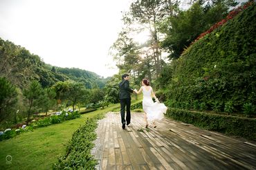 Ảnh cưới đẹp Đà Lạt - Ồ Studio - Hình 10