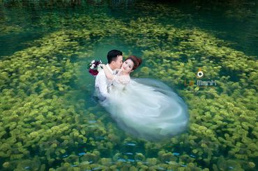 Album hình cưới Đà Lạt 1 - Hệ thống cửa hàng dịch vụ ngày cưới ALEN - Hình 111
