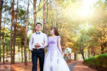 Ảnh cưới ngoại cảnh tổng hợp - BEN Photography - chụp ảnh cưới - Hình 4