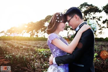 Ảnh cưới ngoại cảnh tổng hợp - BEN Photography - chụp ảnh cưới - Hình 8