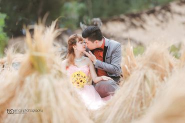 Album cưới của chú rể Thái Bình, có dâu Quãng Ngãi - Mr.Cùi Photography - Hình 4