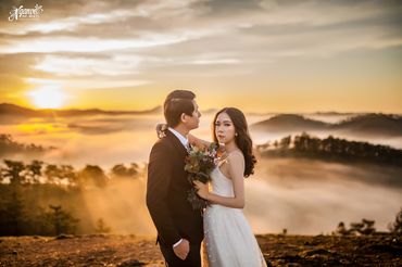 Ảnh cưới đẹp Đà Lạt - Ngan Vo Studio - Hình 1