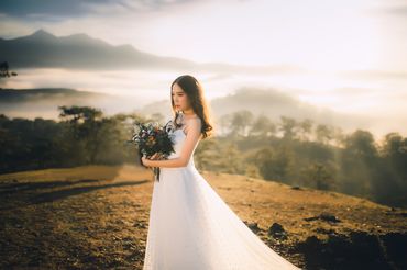 Ảnh cưới đẹp Đà Lạt - Ngan Vo Studio - Hình 2