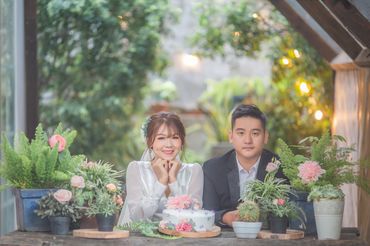 Ảnh cưới phông Hàn Quốc phim trường Endee Garden - Ngan Vo Studio - Hình 9