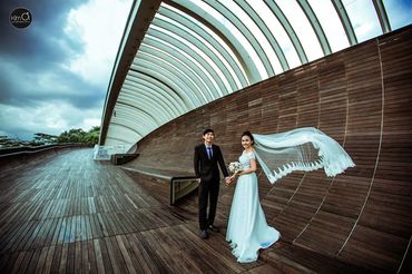 Bộ Ảnh Cưới Singapore - Kim ơi wedding & events - Hình 5