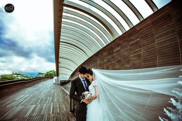 Bộ Ảnh Cưới Singapore - Kim ơi wedding & events - Hình 1