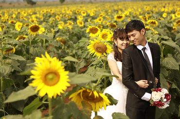 mùa hoa mặt trời - Ảnh viện áo cưới Châu Tuấn - Hình 1