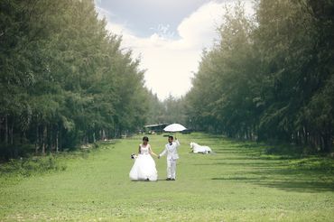 Những khoảnh khắc đẹp nhất của các cô dâu chú rể của Dejji Bridal - Dejji Bridal - Hình 6