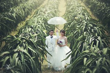 Những khoảnh khắc đẹp nhất của các cô dâu chú rể của Dejji Bridal - Dejji Bridal - Hình 18