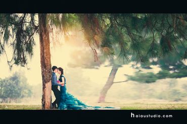 Ngày chung đôi - Ảnh viện áo cưới Hải Âu - Hình 4
