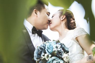 Love and Live ( Hikari Bridal &amp; Studio ) - Hikari Studio - Hình 10