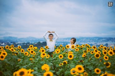 Album ảnh cưới - Đà Lạt ngập tràn hoa - Tony Wedding - Hình 1