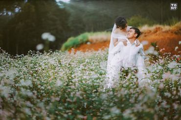 Album ảnh cưới - Đà Lạt ngập tràn hoa - Tony Wedding - Hình 2