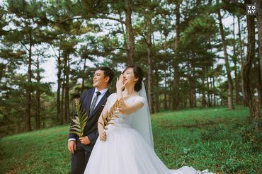 Album ảnh cưới - Đà Lạt ngập tràn hoa - Tony Wedding - Hình 3