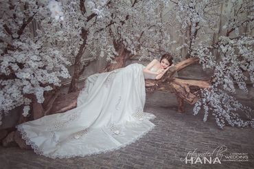 Góc đẹp Nàng dâu - Áo Cưới Hana - Hình 5