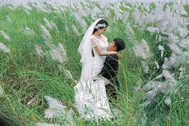 áo cưới đẹp đà nẵng Hàn Quốc Wedding - Hàn Quốc Wedding - Hình 4